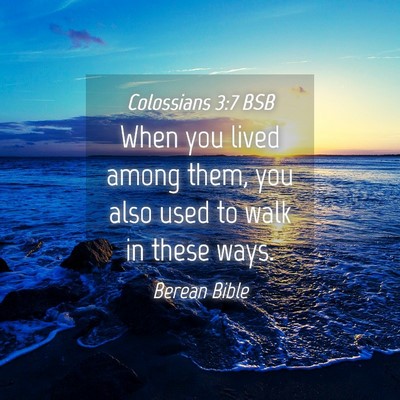 Picture 04 - Colossians 3:7 BSB - When you lived among them, you also used to walk - Bible Verse Picture