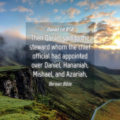 Picture 04 - Daniel 1:11 BSB - Then Daniel said to the steward whom the chief - Bible Verse Picture