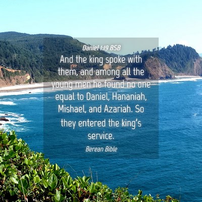 Picture 04 - Daniel 1:19 BSB - And the king spoke with them, and among all the - Bible Verse Picture