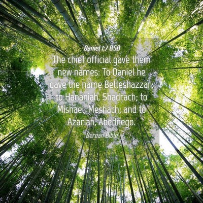 Picture 04 - Daniel 1:7 BSB - The chief official gave them new names: To Daniel - Bible Verse Picture