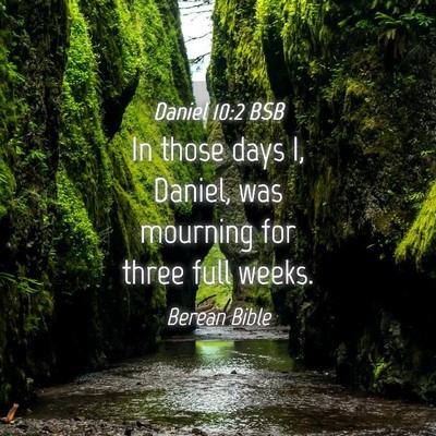 Picture 04 - Daniel 10:2 BSB - In those days I, Daniel, was mourning for three - Bible Verse Picture