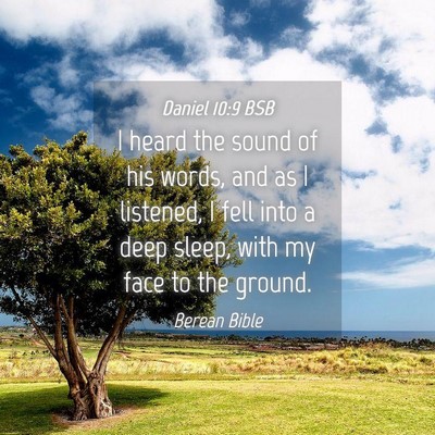 Picture 04 - Daniel 10:9 BSB - I heard the sound of his words, and as I - Bible Verse Picture