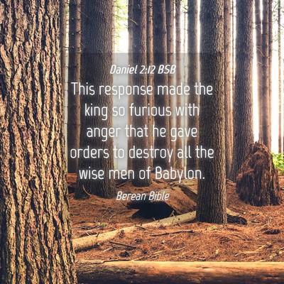 Picture 04 - Daniel 2:12 BSB - This response made the king so furious with anger - Bible Verse Picture