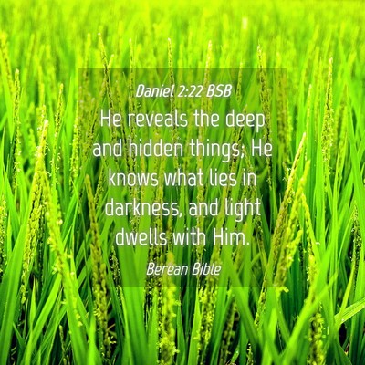 Picture 04 - Daniel 2:22 BSB - He reveals the deep and hidden things; He knows - Bible Verse Picture