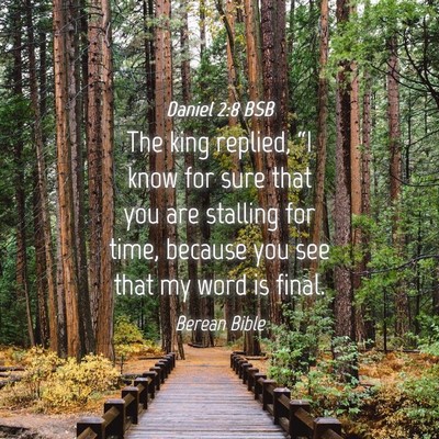 Picture 04 - Daniel 2:8 BSB - The king replied, “I know for sure that you are - Bible Verse Picture