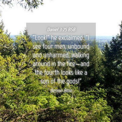 Picture 04 - Daniel 3:25 BSB - “Look!” he exclaimed. “I see four men, - Bible Verse Picture
