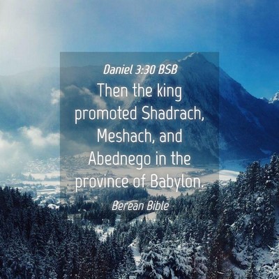 Picture 04 - Daniel 3:30 BSB - Then the king promoted Shadrach, Meshach, and - Bible Verse Picture