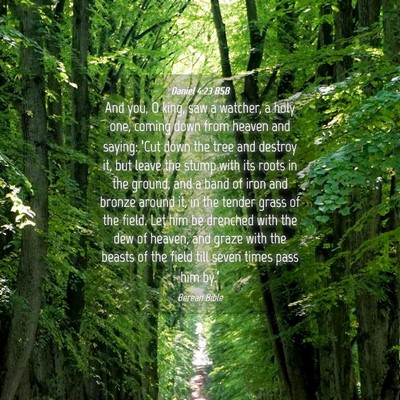 Picture 04 - Daniel 4:23 BSB - And you, O king, saw a watcher, a holy one, - Bible Verse Picture