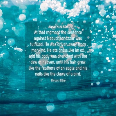Picture 04 - Daniel 4:33 BSB - At that moment the sentence against - Bible Verse Picture