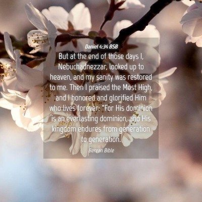 Picture 04 - Daniel 4:34 BSB - But at the end of those days I, Nebuchadnezzar, - Bible Verse Picture