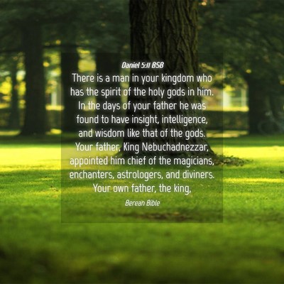 Picture 04 - Daniel 5:11 BSB - There is a man in your kingdom who has the spirit - Bible Verse Picture