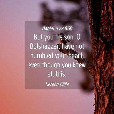 Picture 04 - Daniel 5:22 BSB - But you his son, O Belshazzar, have not humbled - Bible Verse Picture