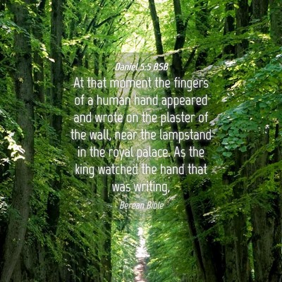 Picture 04 - Daniel 5:5 BSB - At that moment the fingers of a human hand - Bible Verse Picture