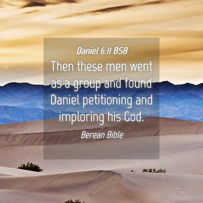Picture 04 - Daniel 6:11 BSB - Then these men went as a group and found Daniel - Bible Verse Picture