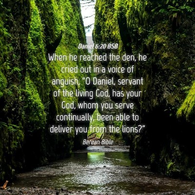 Picture 04 - Daniel 6:20 BSB - When he reached the den, he cried out in a voice - Bible Verse Picture