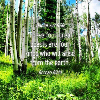 Picture 04 - Daniel 7:17 BSB - ‘These four great beasts are four kings who - Bible Verse Picture