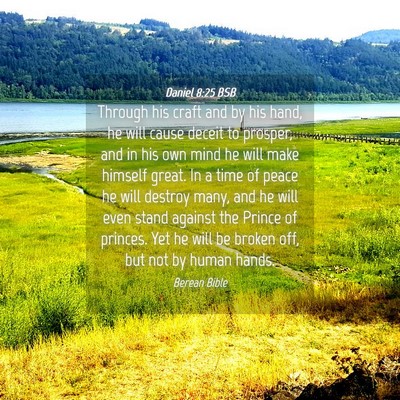 Picture 04 - Daniel 8:25 BSB - Through his craft and by his hand, he will cause - Bible Verse Picture
