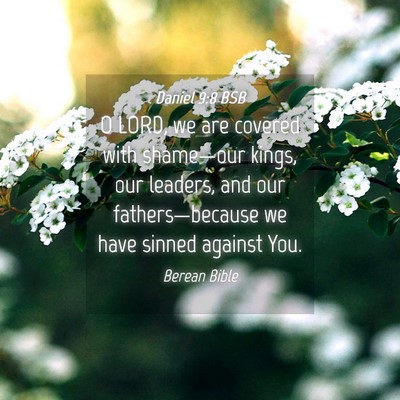 Picture 04 - Daniel 9:8 BSB - O LORD, we are covered with shame—our kings, - Bible Verse Picture