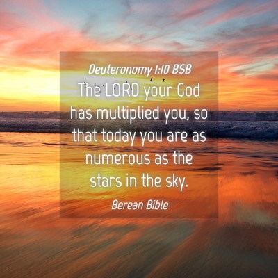 Picture 04 - Deuteronomy 1:10 BSB - The LORD your God has multiplied you, so that - Bible Verse Picture
