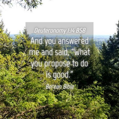 Picture 04 - Deuteronomy 1:14 BSB - And you answered me and said, “What you propose - Bible Verse Picture