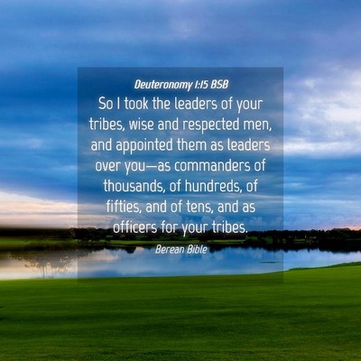 Picture 04 - Deuteronomy 1:15 BSB - So I took the leaders of your tribes, wise and - Bible Verse Picture