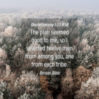 Picture 04 - Deuteronomy 1:23 BSB - The plan seemed good to me, so I selected twelve - Bible Verse Picture
