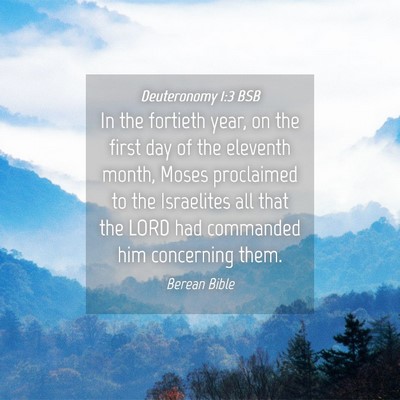 Picture 04 - Deuteronomy 1:3 BSB - In the fortieth year, on the first day of the - Bible Verse Picture