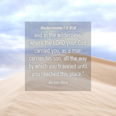 Picture 04 - Deuteronomy 1:31 BSB - and in the wilderness, where the LORD your God - Bible Verse Picture