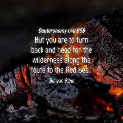 Picture 04 - Deuteronomy 1:40 BSB - But you are to turn back and head for the - Bible Verse Picture