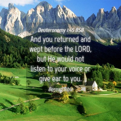 Picture 04 - Deuteronomy 1:45 BSB - And you returned and wept before the LORD, but He - Bible Verse Picture