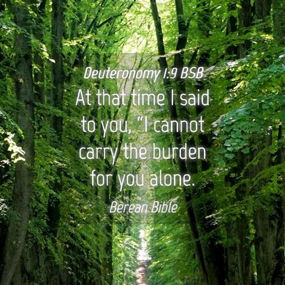 Picture 04 - Deuteronomy 1:9 BSB - At that time I said to you, “I cannot carry the - Bible Verse Picture