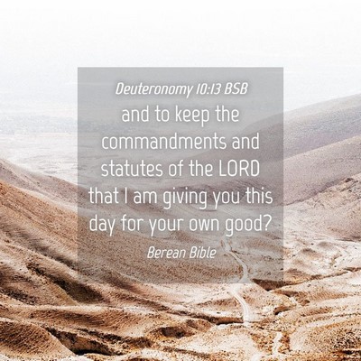 Picture 04 - Deuteronomy 10:13 BSB - and to keep the commandments and statutes of the - Bible Verse Picture