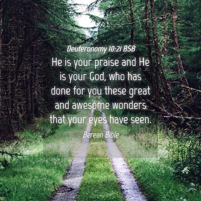 Picture 04 - Deuteronomy 10:21 BSB - He is your praise and He is your God, who has - Bible Verse Picture