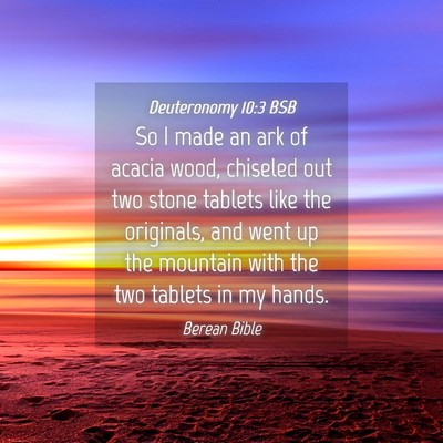 Picture 04 - Deuteronomy 10:3 BSB - So I made an ark of acacia wood, chiseled out two - Bible Verse Picture