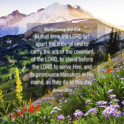 Picture 04 - Deuteronomy 10:8 BSB - At that time the LORD set apart the tribe of Levi - Bible Verse Picture