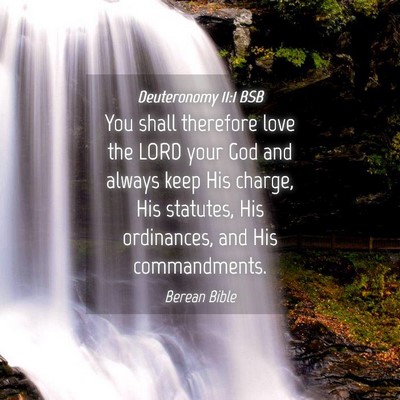 Picture 04 - Deuteronomy 11:1 BSB - You shall therefore love the LORD your God and - Bible Verse Picture