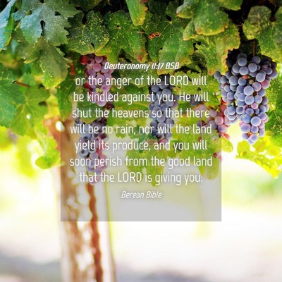 Picture 04 - Deuteronomy 11:17 BSB - or the anger of the LORD will be kindled against - Bible Verse Picture