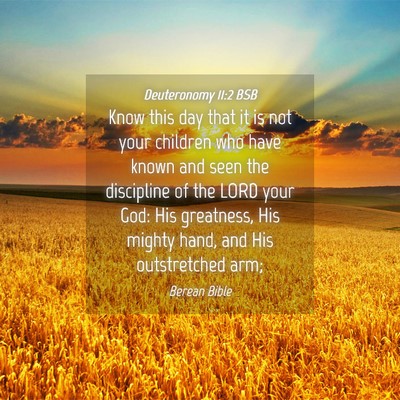 Picture 04 - Deuteronomy 11:2 BSB - Know this day that it is not your children who - Bible Verse Picture