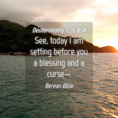 Picture 04 - Deuteronomy 11:26 BSB - See, today I am setting before you a blessing and - Bible Verse Picture