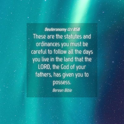 Picture 04 - Deuteronomy 12:1 BSB - These are the statutes and ordinances you must be - Bible Verse Picture