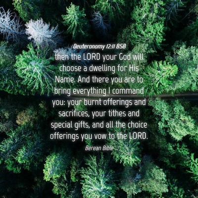Picture 04 - Deuteronomy 12:11 BSB - then the LORD your God will choose a dwelling for - Bible Verse Picture