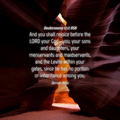Picture 04 - Deuteronomy 12:12 BSB - And you shall rejoice before the LORD your - Bible Verse Picture