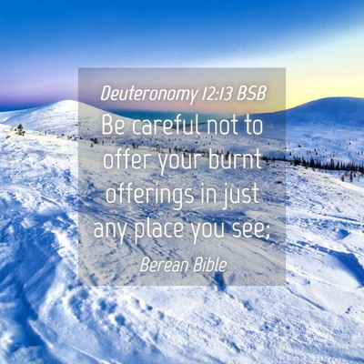 Picture 04 - Deuteronomy 12:13 BSB - Be careful not to offer your burnt offerings in - Bible Verse Picture