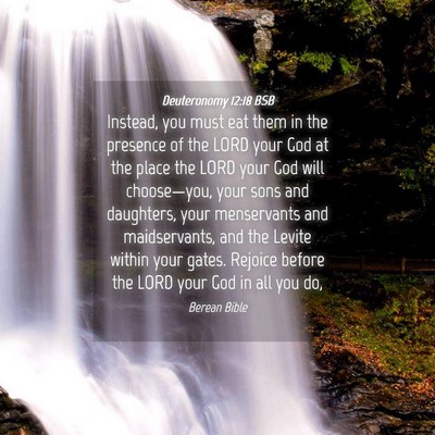 Picture 04 - Deuteronomy 12:18 BSB - Instead, you must eat them in the presence of the - Bible Verse Picture