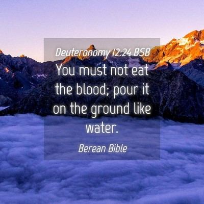 Picture 04 - Deuteronomy 12:24 BSB - You must not eat the blood; pour it on the ground - Bible Verse Picture