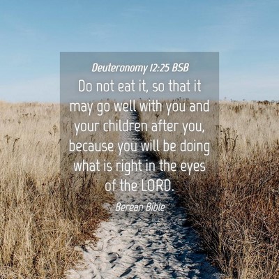 Picture 04 - Deuteronomy 12:25 BSB - Do not eat it, so that it may go well with you - Bible Verse Picture