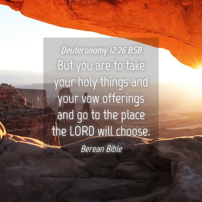 Picture 04 - Deuteronomy 12:26 BSB - But you are to take your holy things and your vow - Bible Verse Picture
