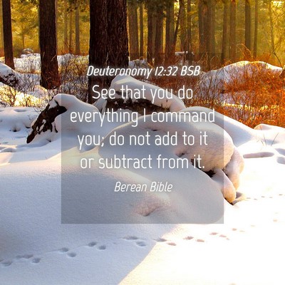 Picture 04 - Deuteronomy 12:32 BSB - See that you do everything I command you; do not - Bible Verse Picture