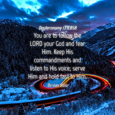 Picture 04 - Deuteronomy 13:4 BSB - You are to follow the LORD your God and fear Him. - Bible Verse Picture