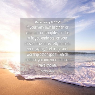 Picture 04 - Deuteronomy 13:6 BSB - If your very own brother, or your son or - Bible Verse Picture